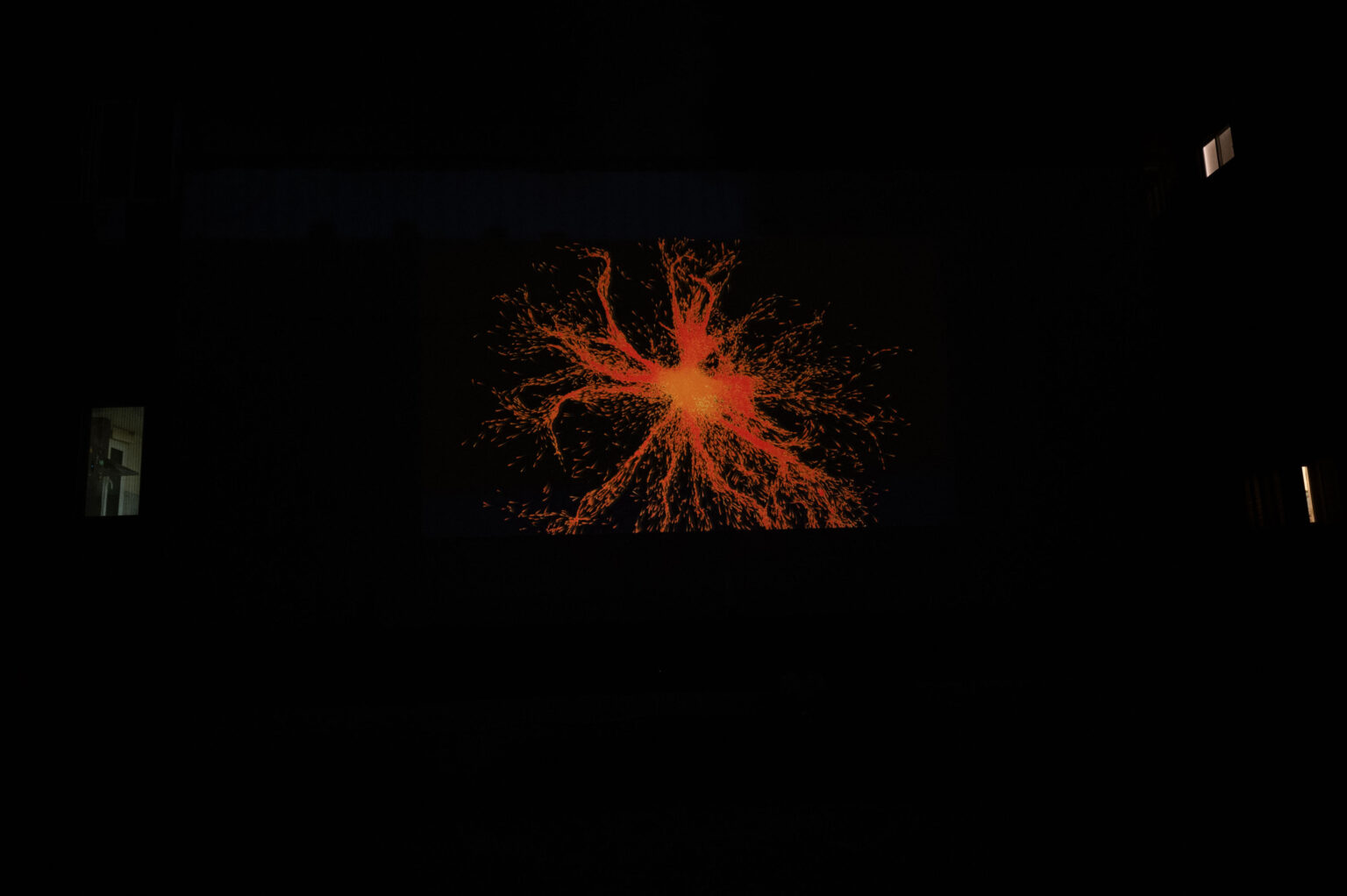 Title: Roots, Year: 2026, Medium: Code-Art, Data Visualization