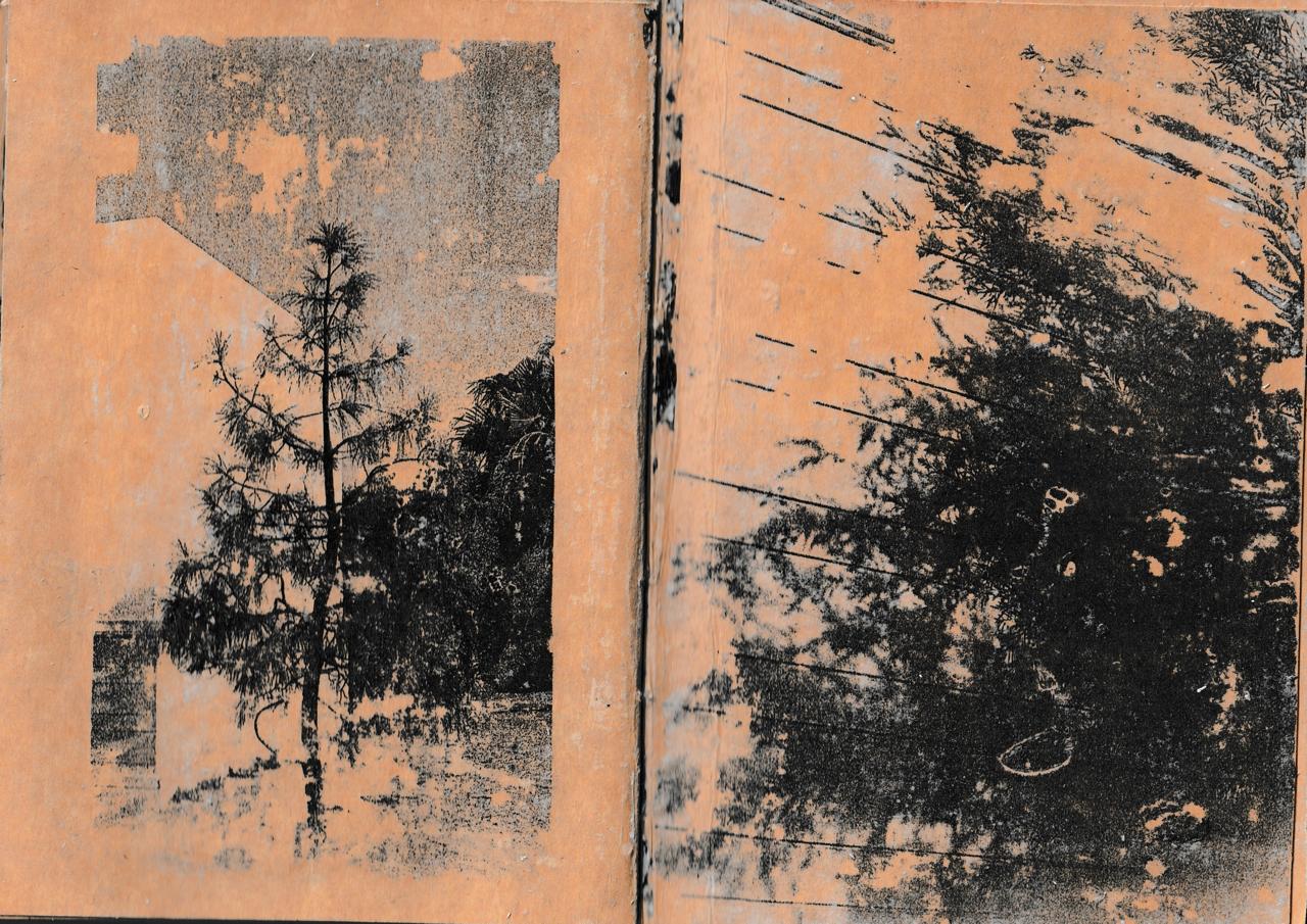 Spread from 19 21