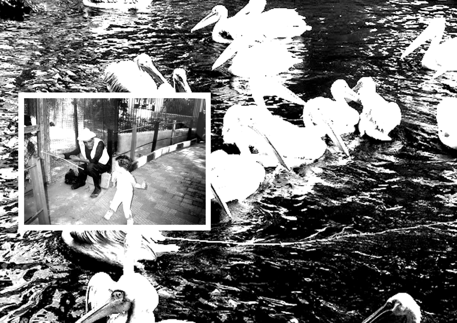 Spread from the Giza Zoo Collective Publication
2023
Photography
